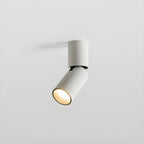 Julian Adjustable Surface Downlight