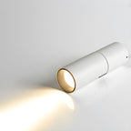 Julian Adjustable Surface Downlight