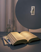 OmniLux Reading Lamp