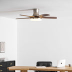Liam Ceiling Fan Light