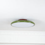 Drift Adjustable Ceiling Lamp