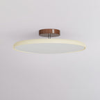 Drift Adjustable Ceiling Lamp