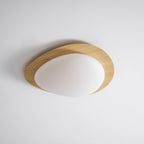 Pebble Metal Ceiling Light