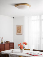 Pebble Metal Ceiling Light