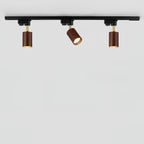 Luma Flex Track Light