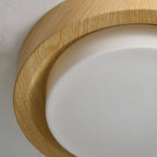Lunor Ring Ceiling Light