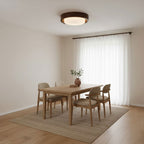 Lunor Ring Ceiling Light