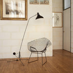 Mantis Arm Tall Lamp Floor Lamp