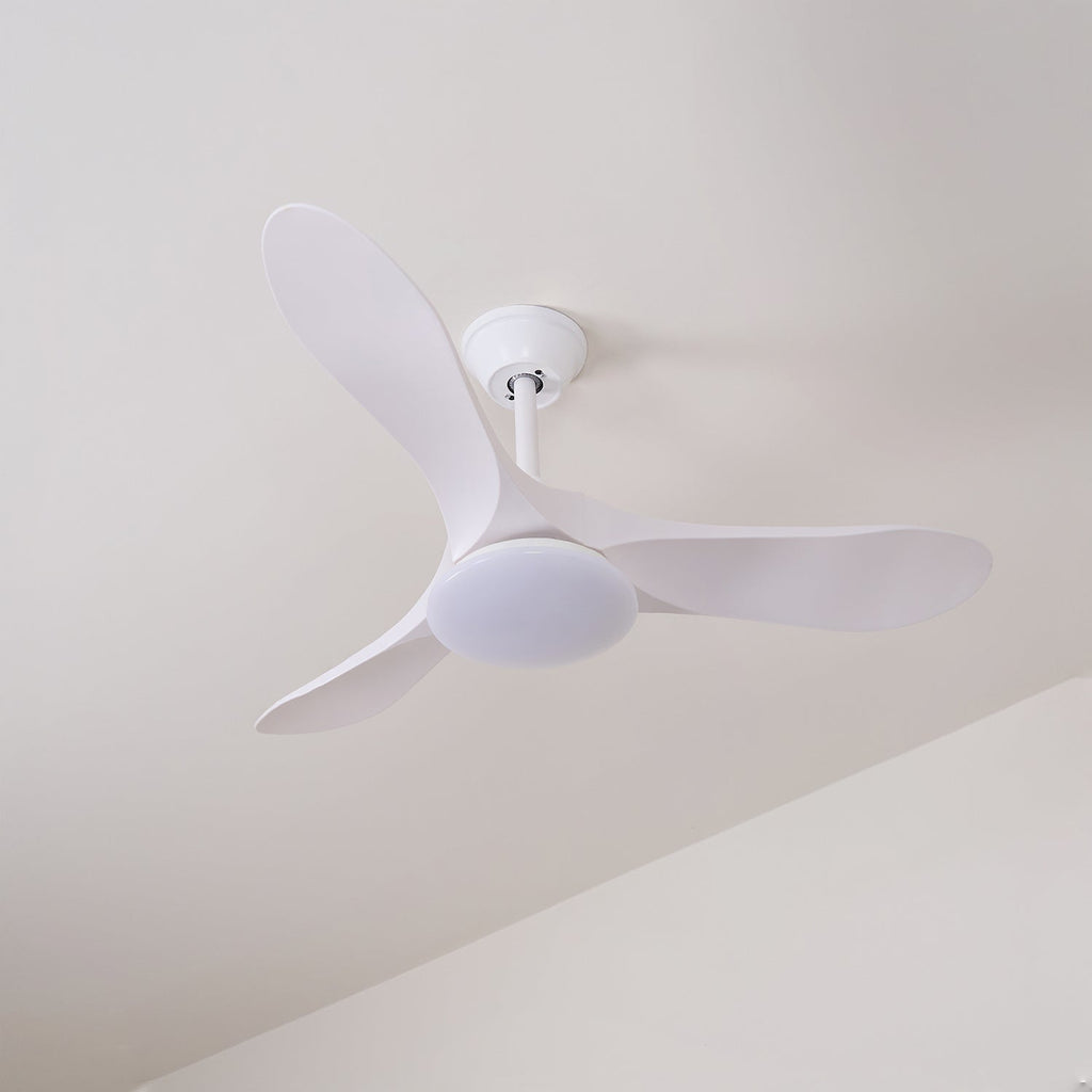 Maverick 42"/52" Ceiling light Ceiling Fan Light