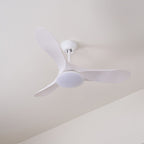 Maverick 42"/52" Ceiling light Ceiling Fan Light