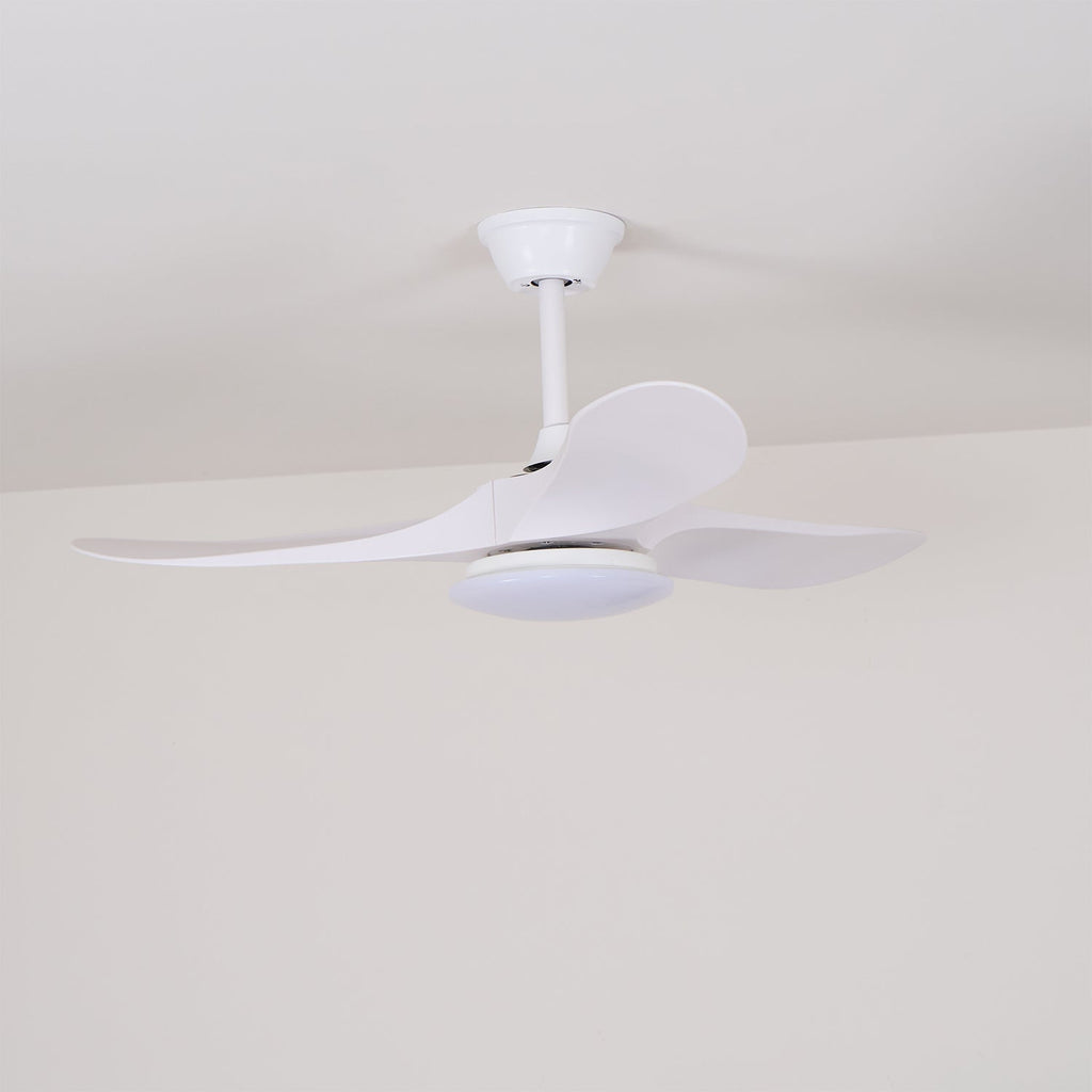 Maverick 42"/52" Ceiling light Ceiling Fan Light