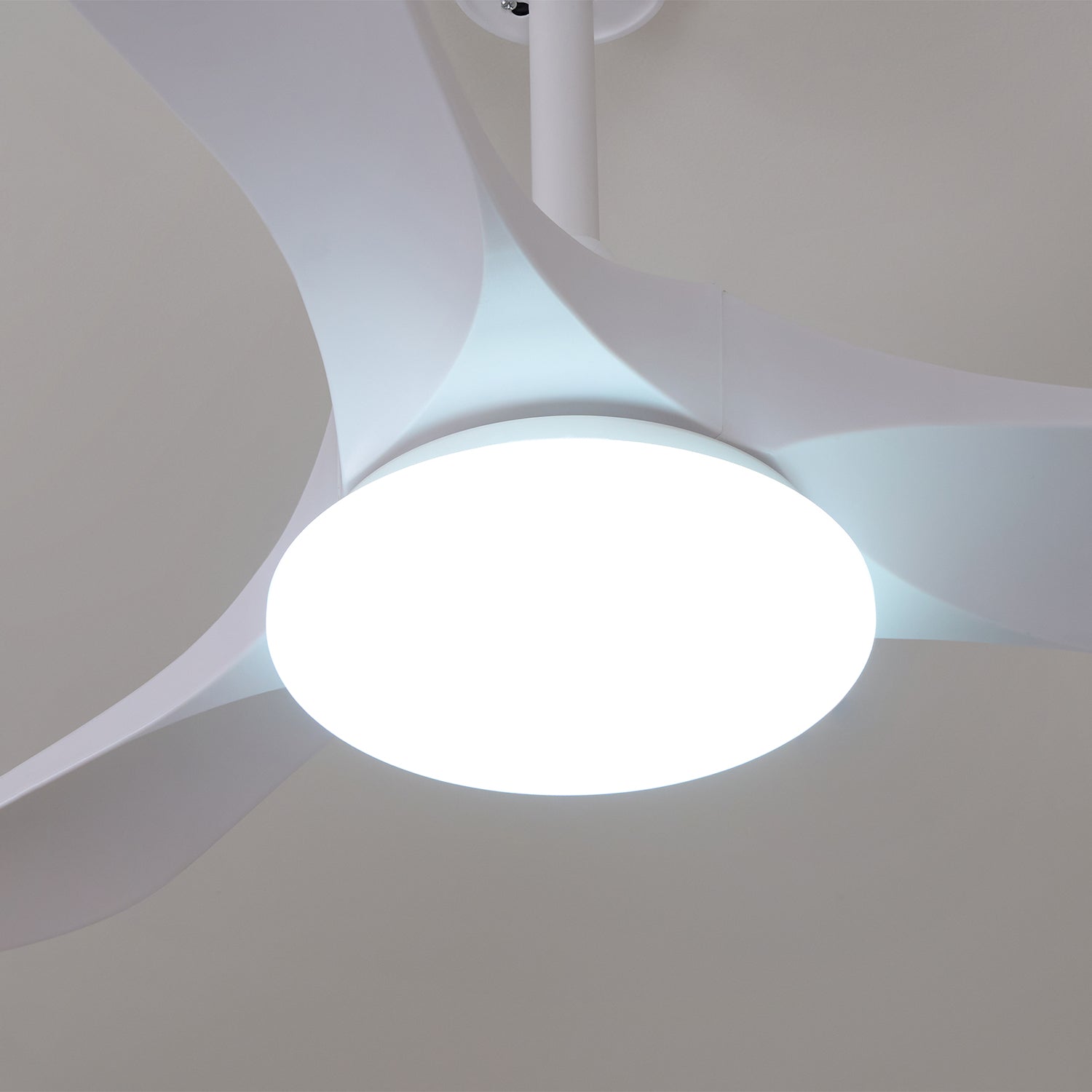 Maverick 42"/52" Ceiling light Ceiling Fan Light