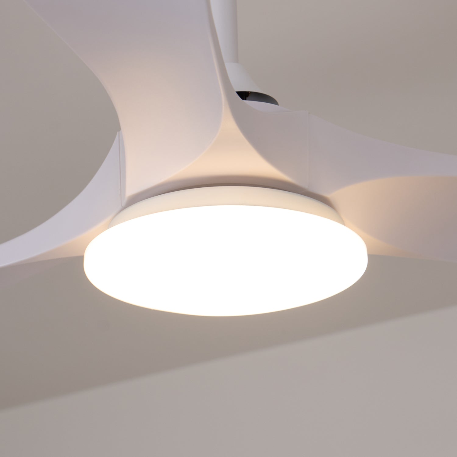 Maverick 42"/52" Ceiling light Ceiling Fan Light