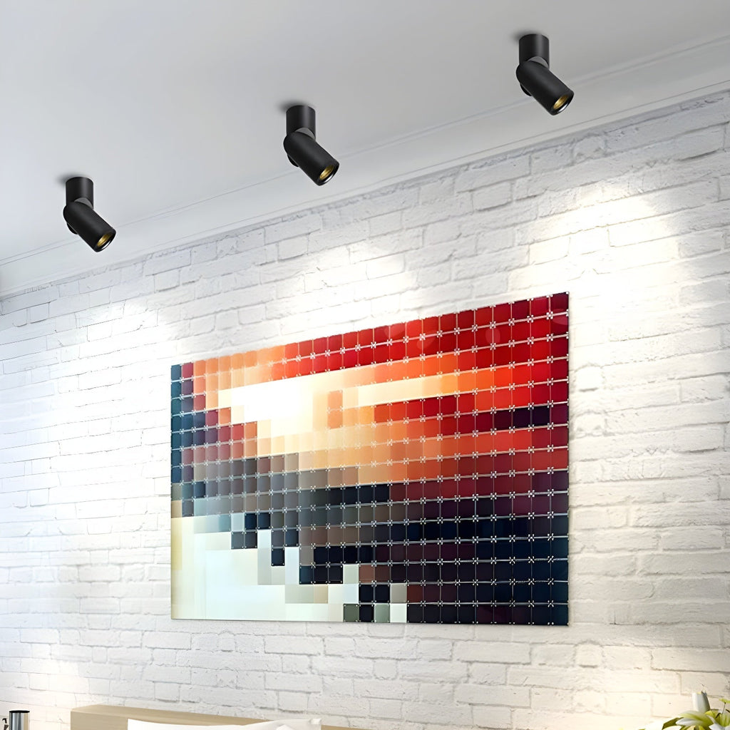 Maxwell Pivot Surface Ceiling fixture Downlight