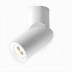 Maxwell Pivot Surface Ceiling fixture Downlight