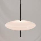 Model 2065 Pendant Lamp