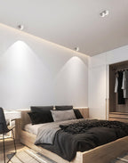 Modupoint Overhead fixture Ceiling Light