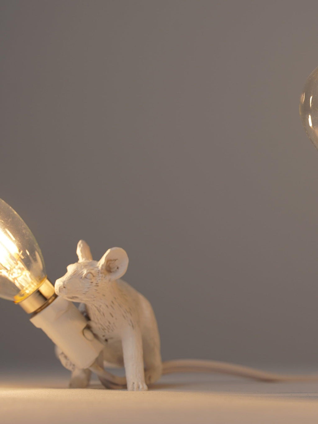 Mouse Light Modelling Mouse Work lamp Table Light – Covalite