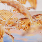 Multicolor Crystal Maple Leaf Electrolier Chandelier
