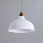 Natural Rustic Ceiling light fitting Pendant Lamp