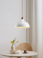 Natural Rustic Ceiling light fitting Pendant Lamp