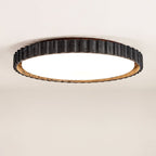Obsidian Aura Ceiling Light