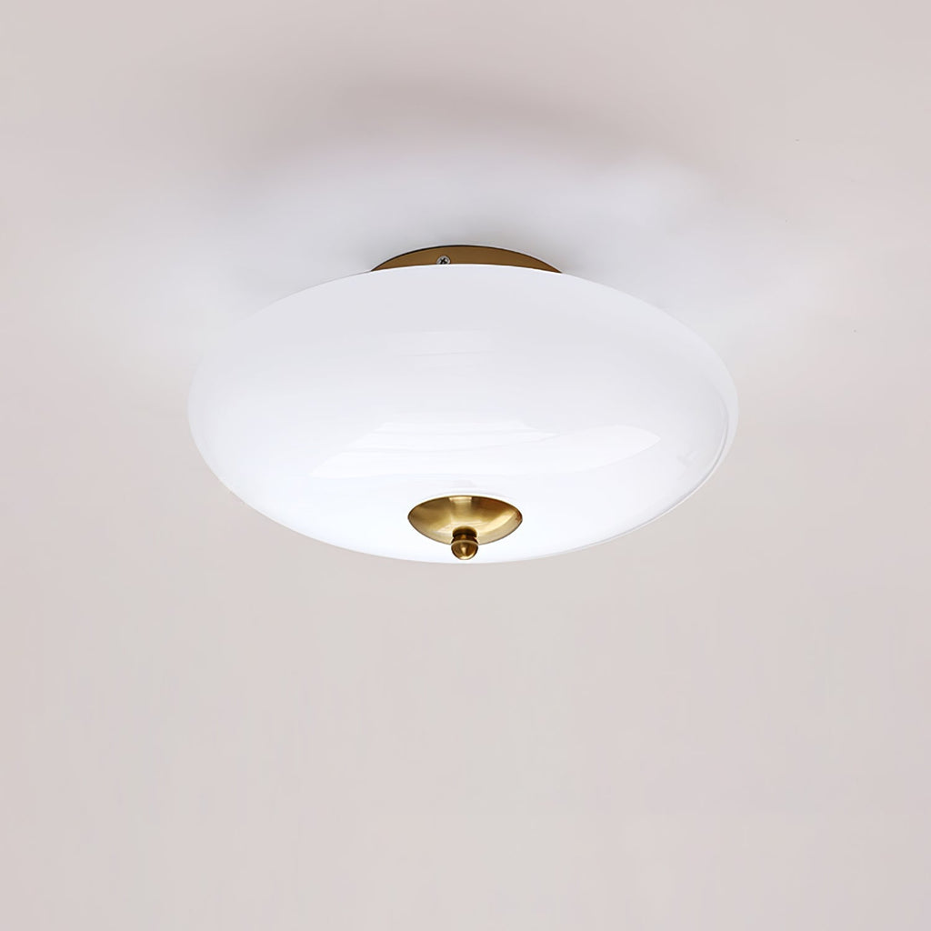 Opal Overhead fixture Ceiling Lamp