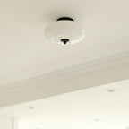 Opal Overhead fixture Ceiling Lamp