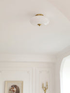 Opal Overhead fixture Ceiling Lamp