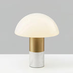Orly Accent lamp Table Lamp