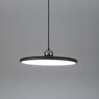 Ovalo Grain Pendant Light