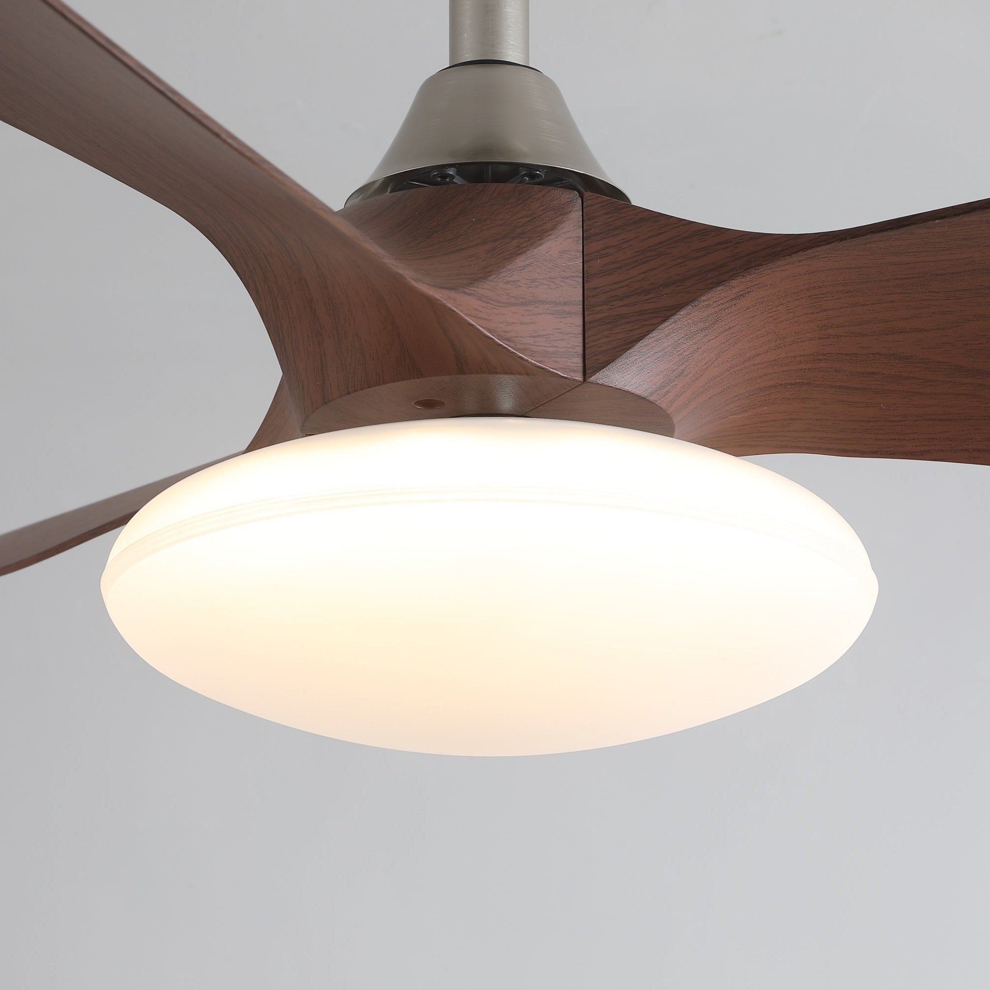 Zephira Ceiling Fan Light