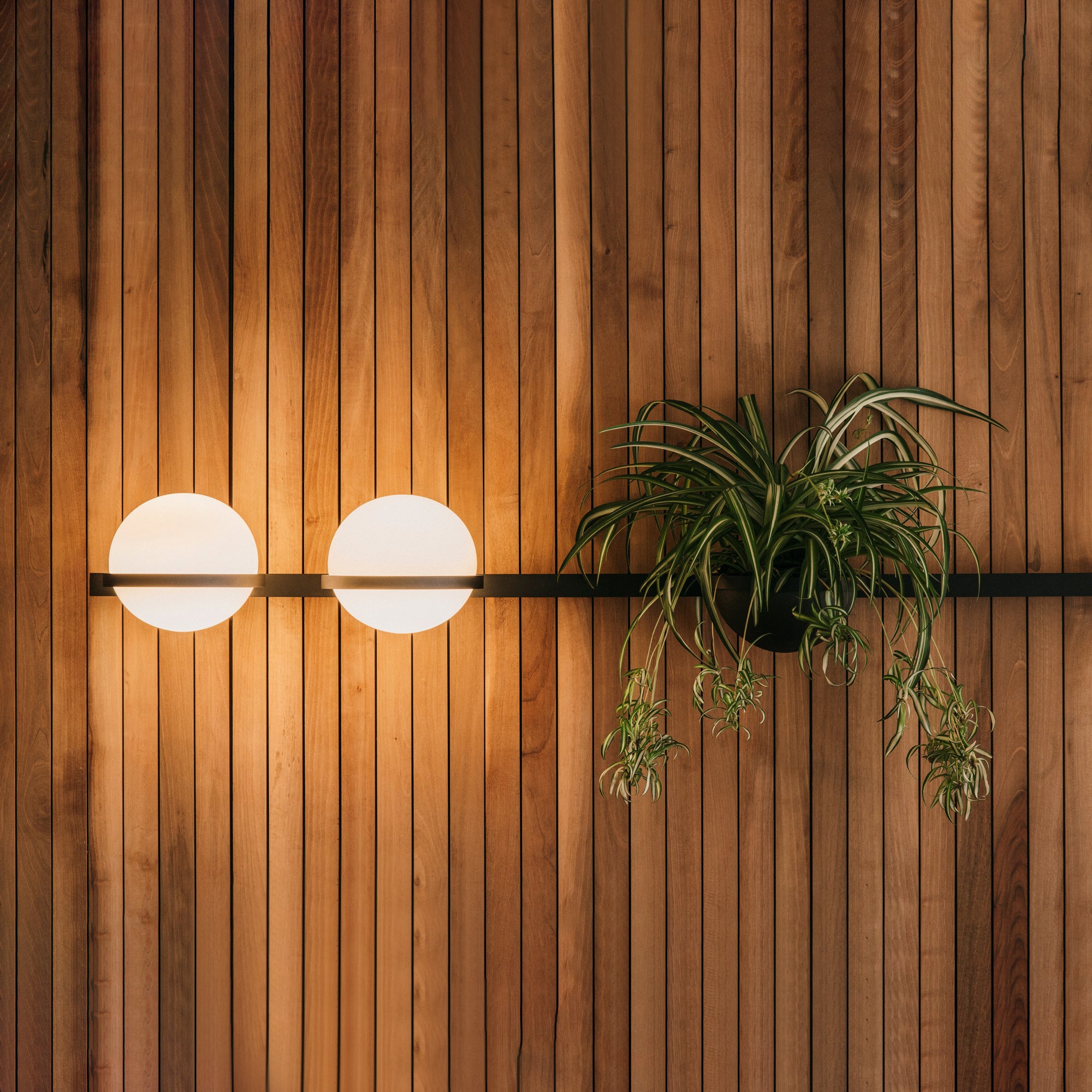 Solstice Wall Light