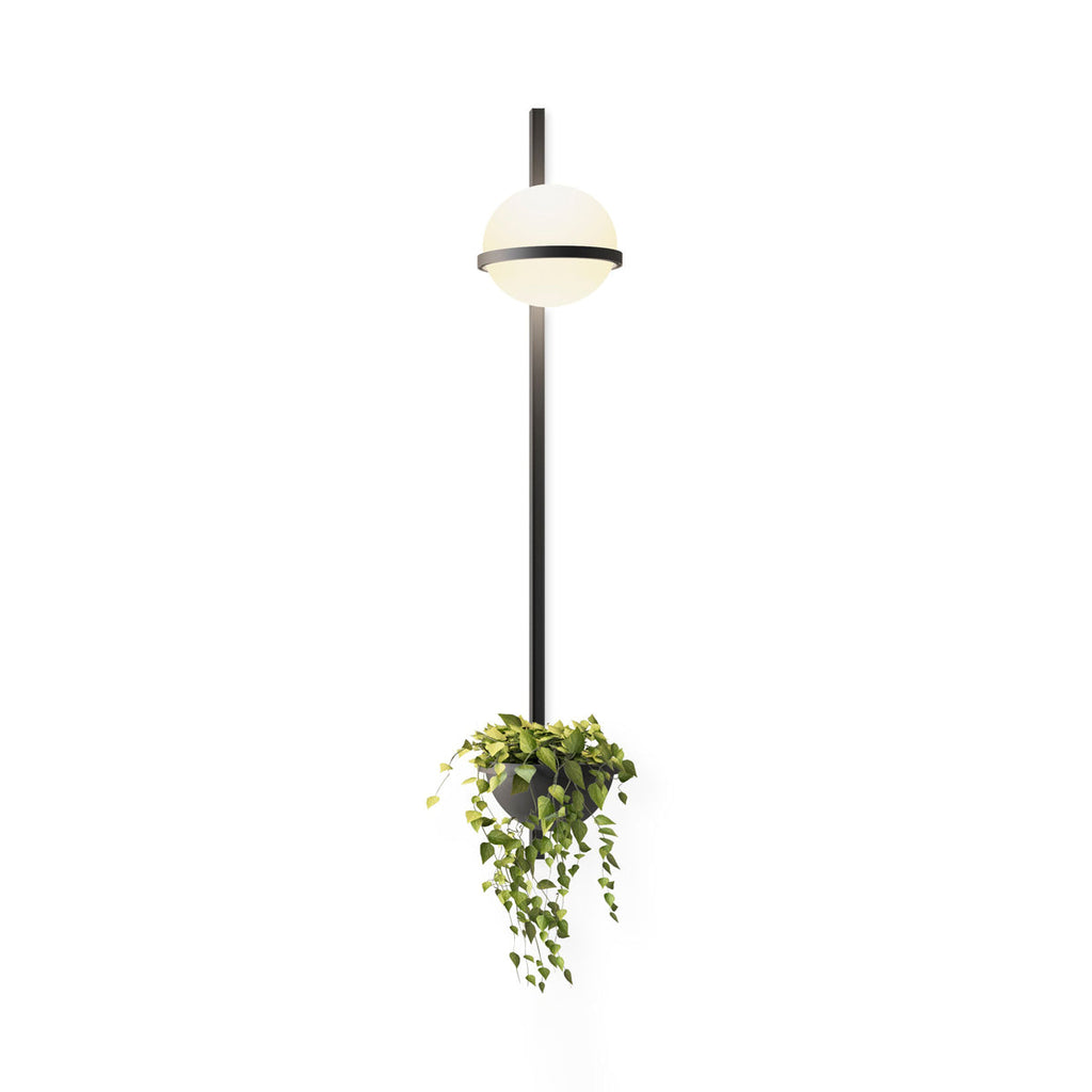 Solstice Orb Wall Light