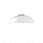 Pangen Ceiling-mounted light Ceiling Lamp