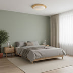 Pebble Metal Ceiling Light