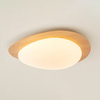 Pebble Metal Ceiling Light