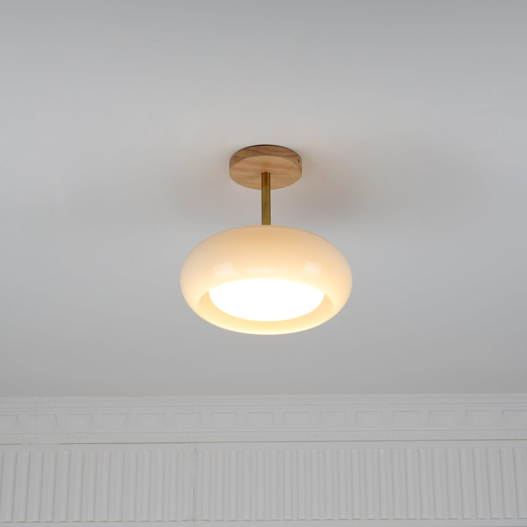 Plafonnier Overhead light Ceiling Lamp