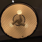 Podgy Houselight Pendant Light