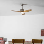 Polaris Ceiling Fan Light