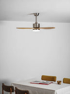 Polaris Ceiling Fan Light