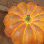 Portable Pumpkin Built-in Battery Bedside lamp Table Lamp