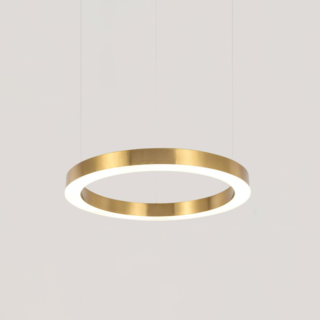 Ring LED Drop light Pendant Light