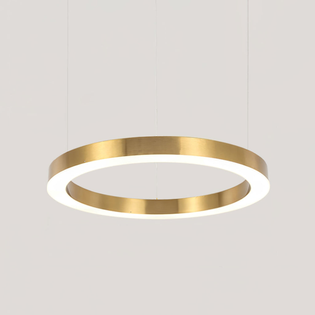 Ring LED Drop light Pendant Light