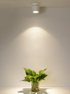 Rotatable Overhead fixture Spotlight