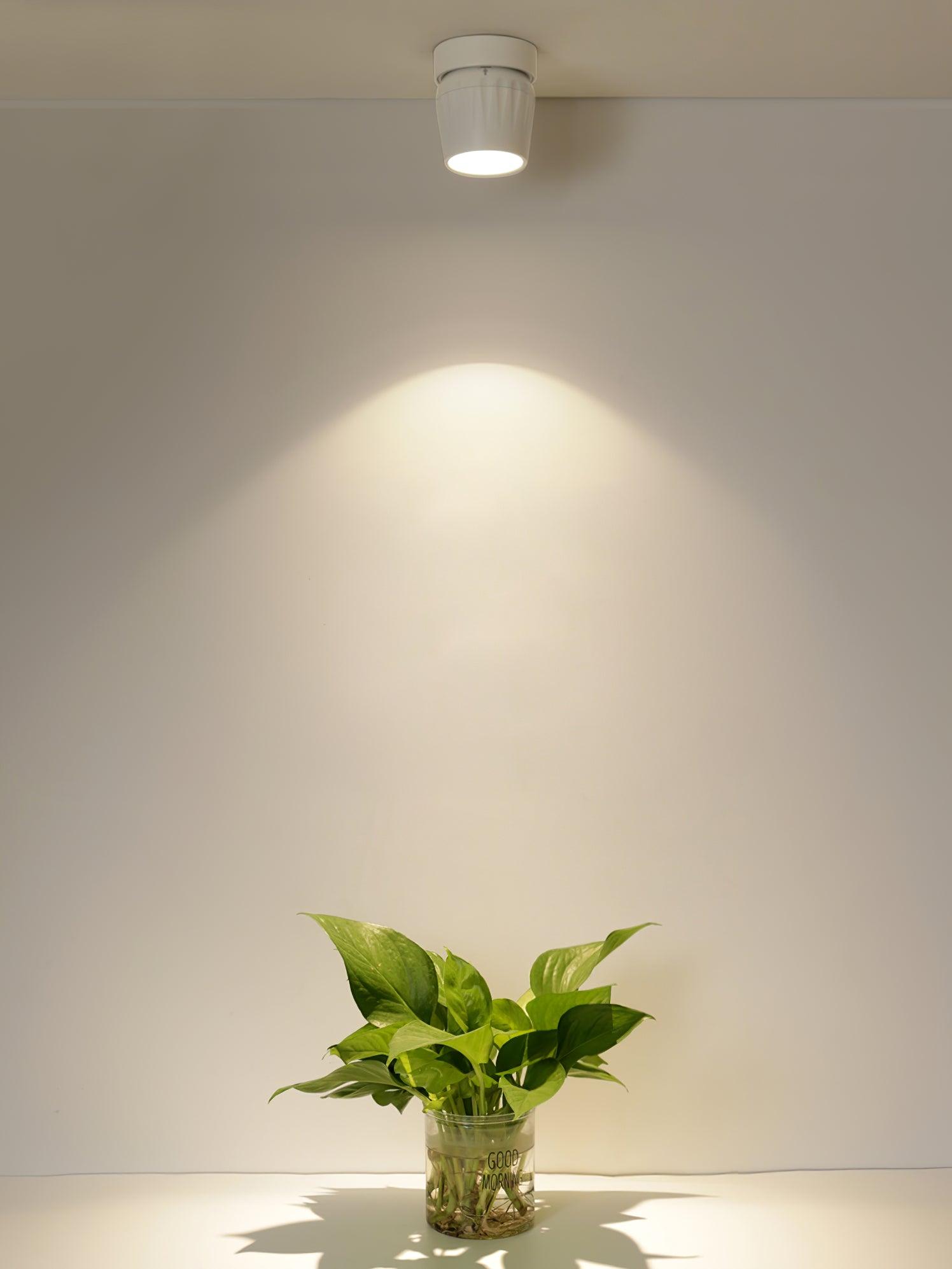 Rotatable Overhead fixture Spotlight