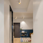 Rotatable Overhead fixture Spotlight