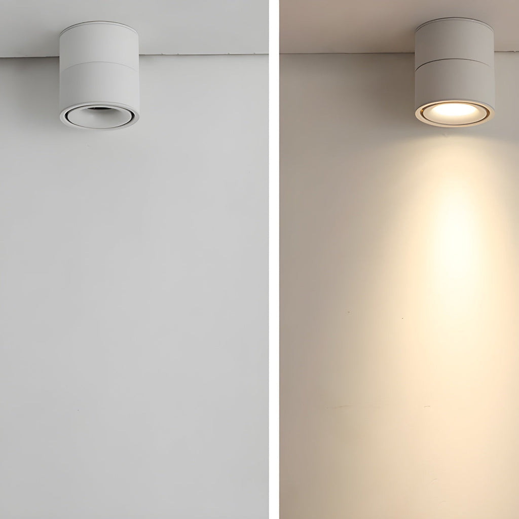 Rotatable Spotlight Ceiling fixture Ceiling Light