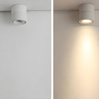 Rotatable Spotlight Ceiling fixture Ceiling Light