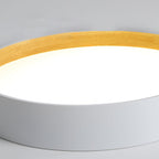Round Ceiling light Ceiling Lamp